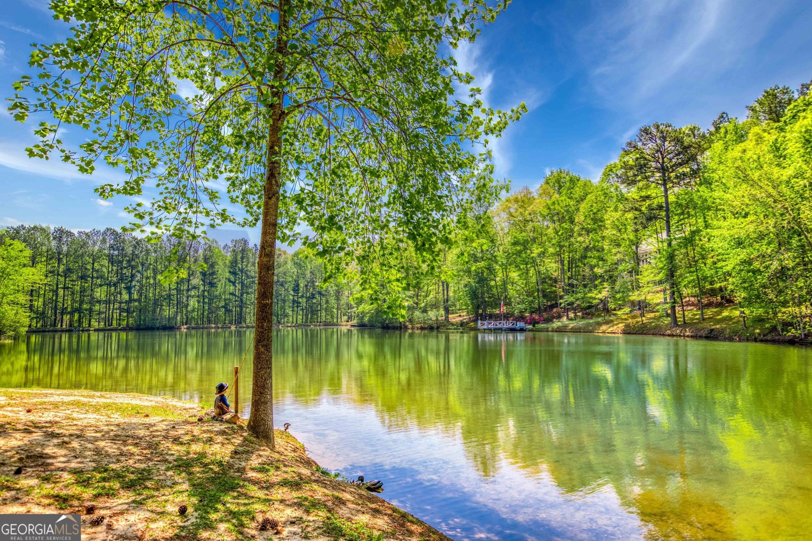 2334 Fisher Drive Loganville - 69