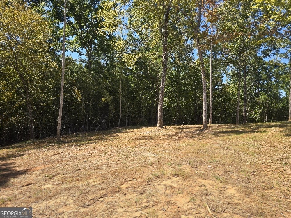 485 Lawson Drive Mansfield - 36