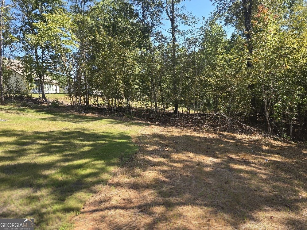 485 Lawson Drive Mansfield - Photo 39