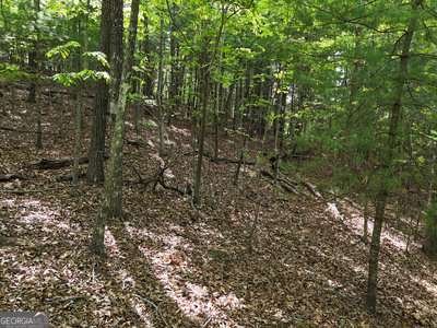 34 Mountain Valley Lane Blairsville - 40