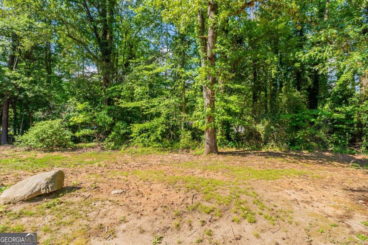 5326 Rocky Pine Drive Lithonia - 26