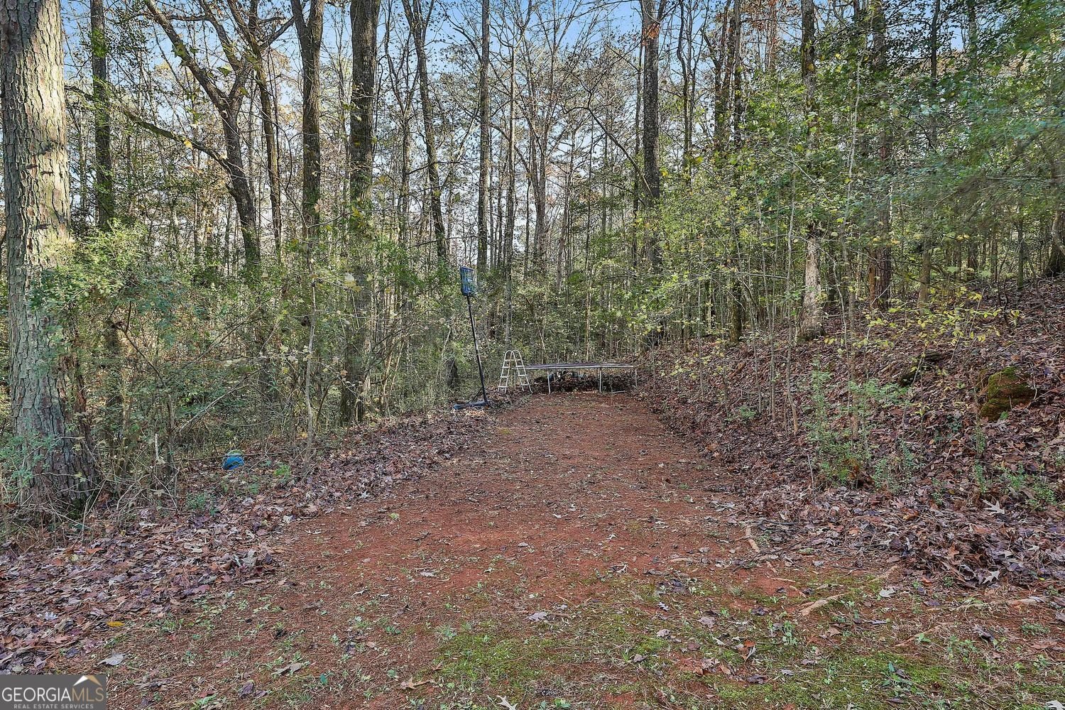 337 Andrew Bailey Road Sharpsburg - 29