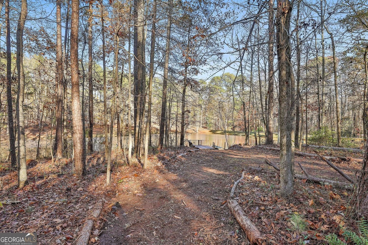 337 Andrew Bailey Road Sharpsburg - 47