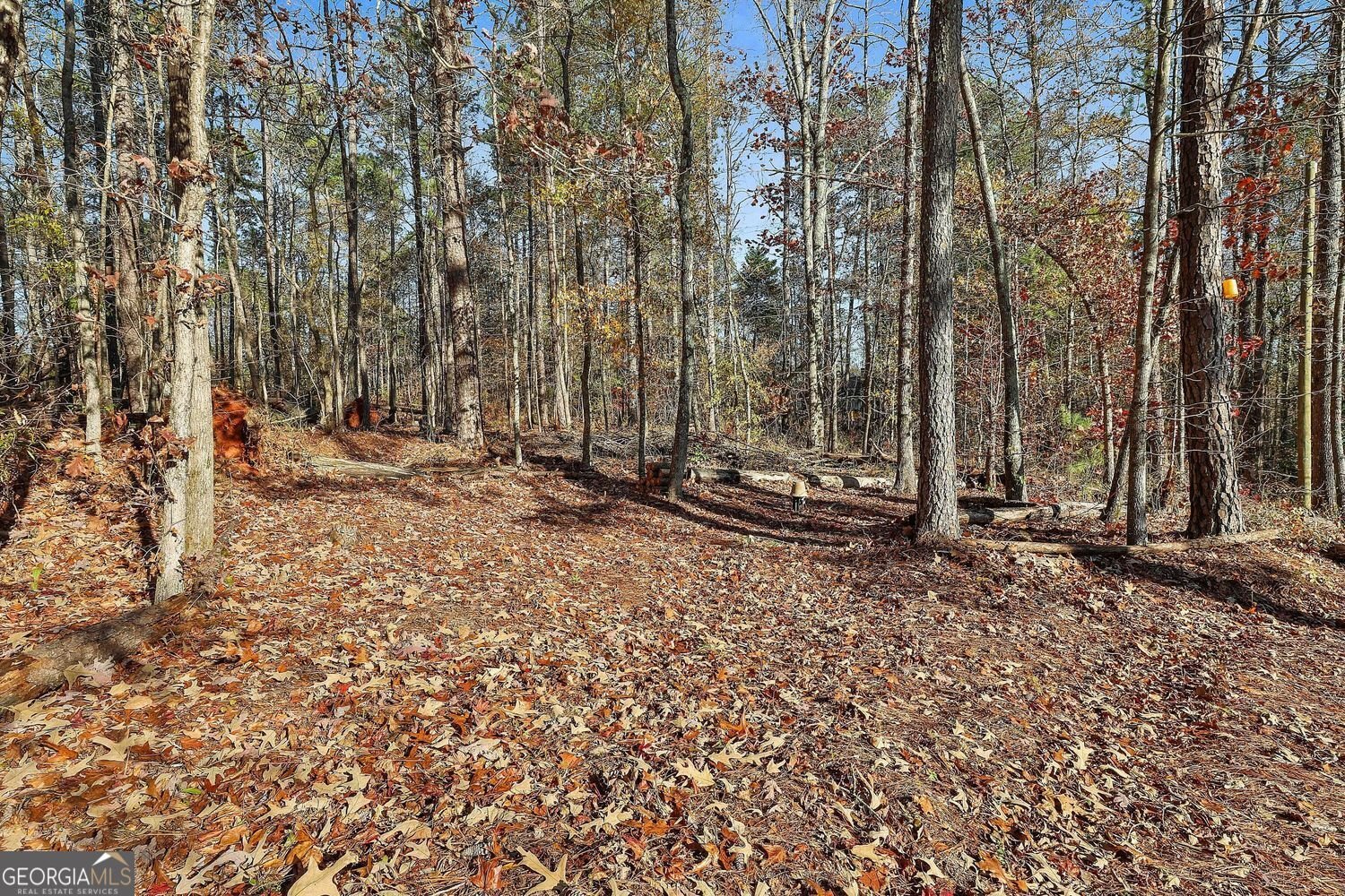 337 Andrew Bailey Road Sharpsburg - 57