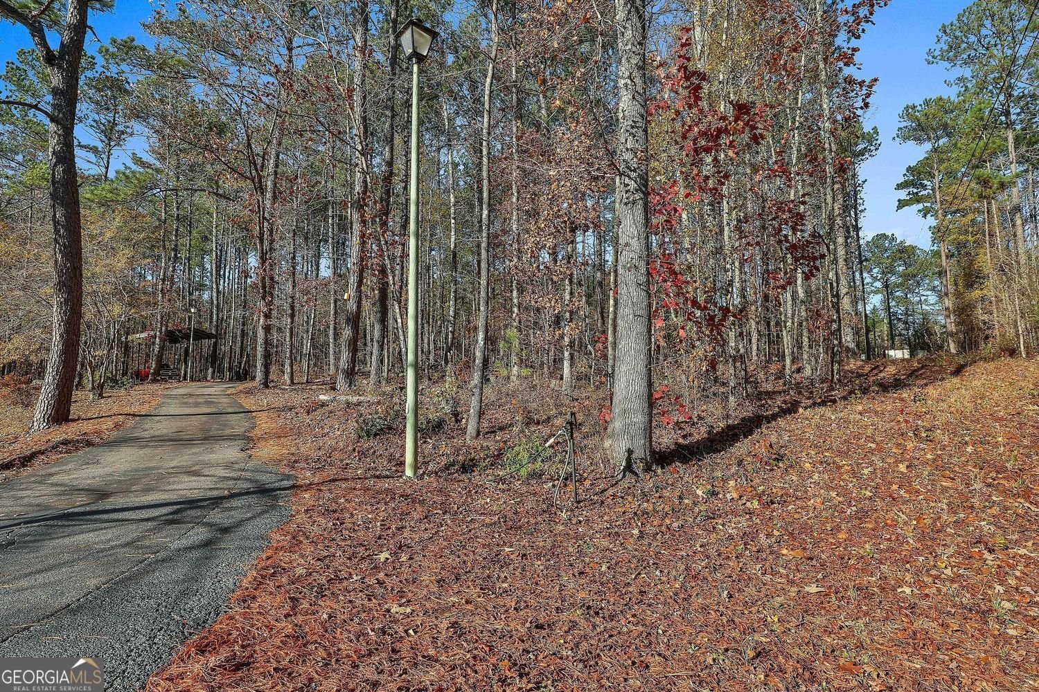 337 Andrew Bailey Road Sharpsburg - 58