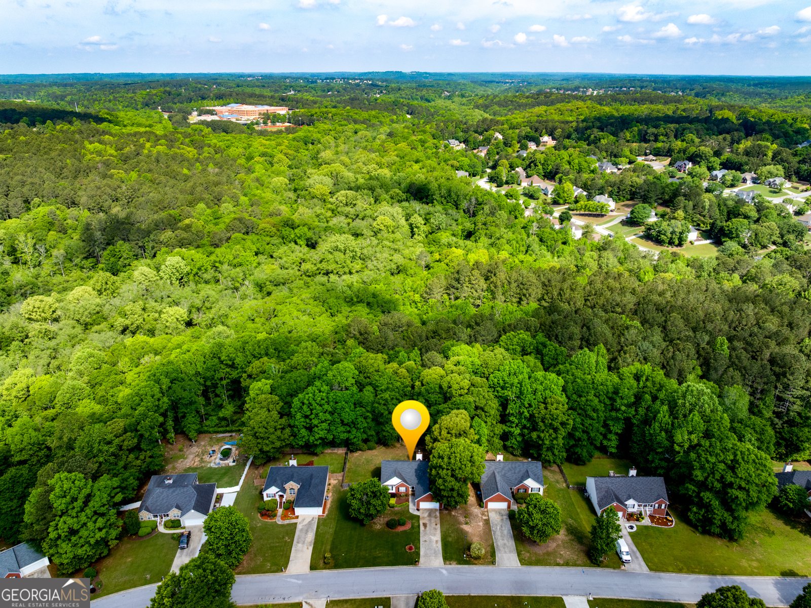 1720 Alcovy River Drive Dacula - 32
