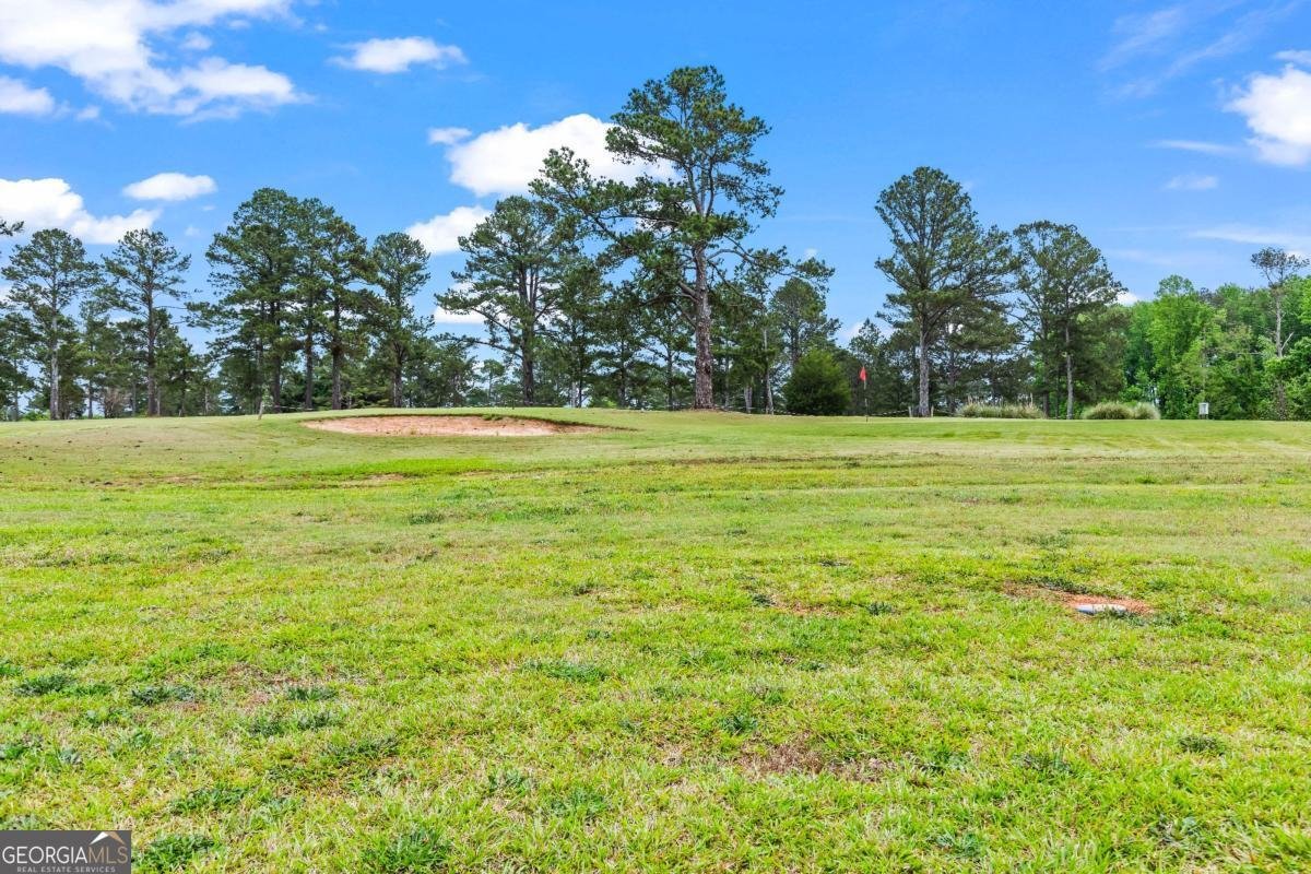 1515 Cabin Creek Trail Griffin - 37