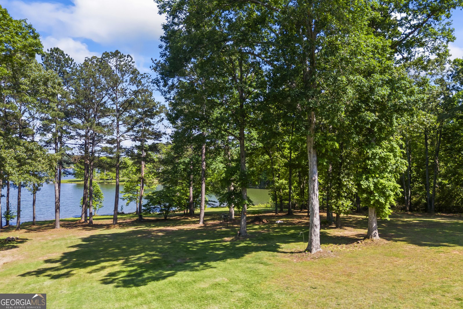160 Evans Drive Bogart - 65