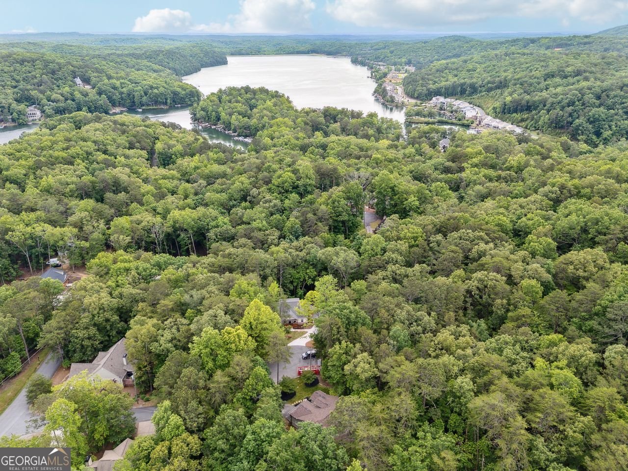 114 MINK Court Waleska - 32