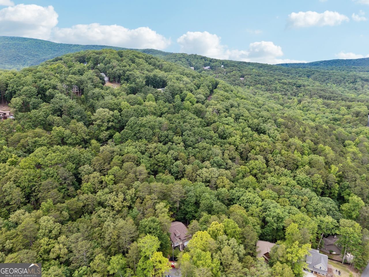 114 MINK Court Waleska - 34