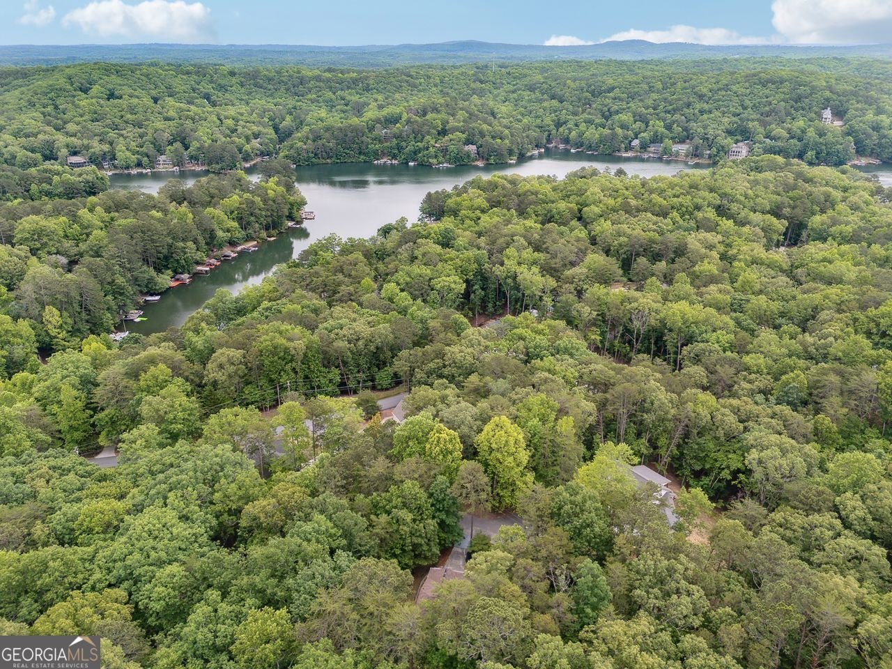 114 MINK Court Waleska - 81