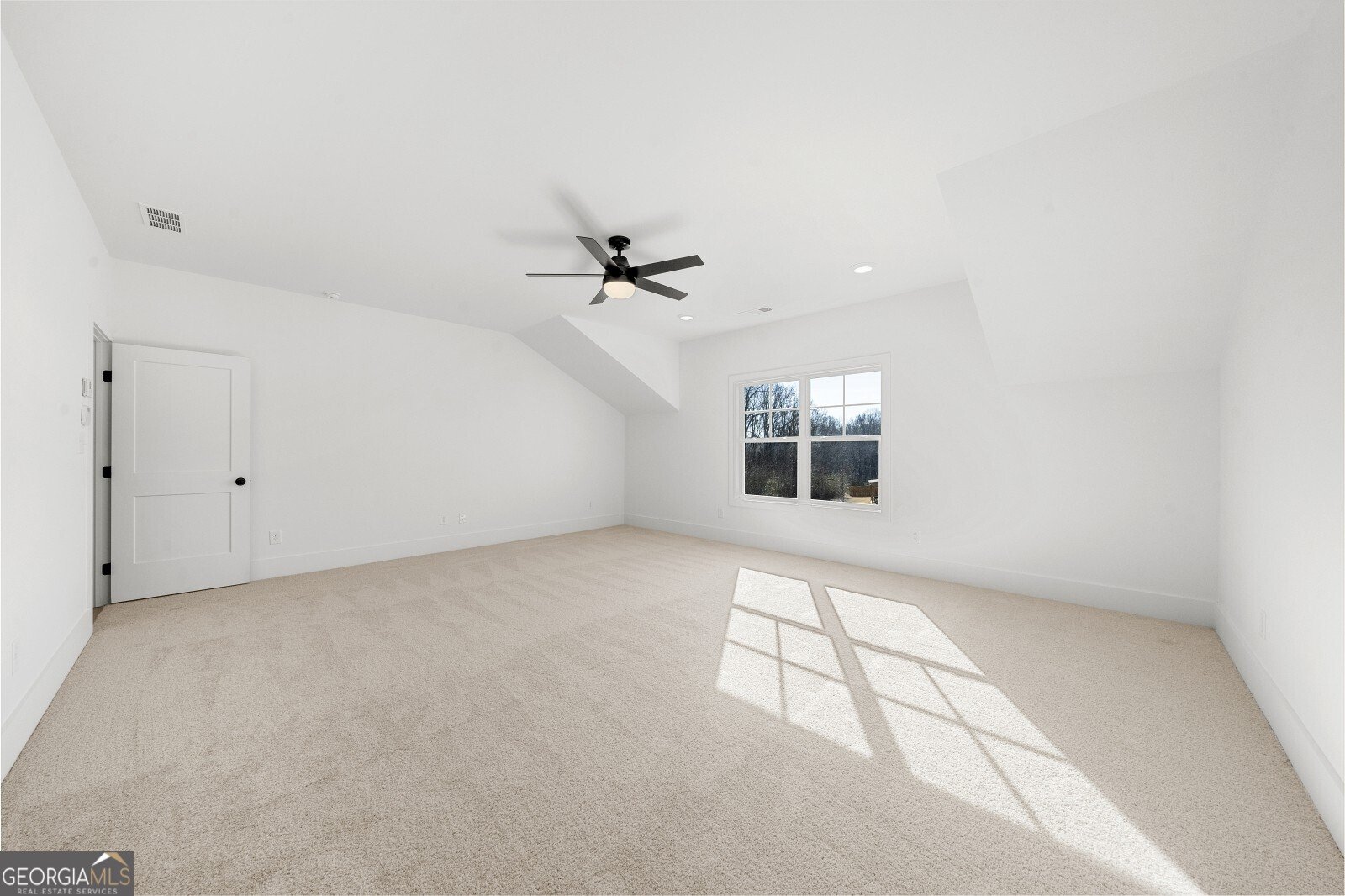 205 Carrington Point Canton - 33