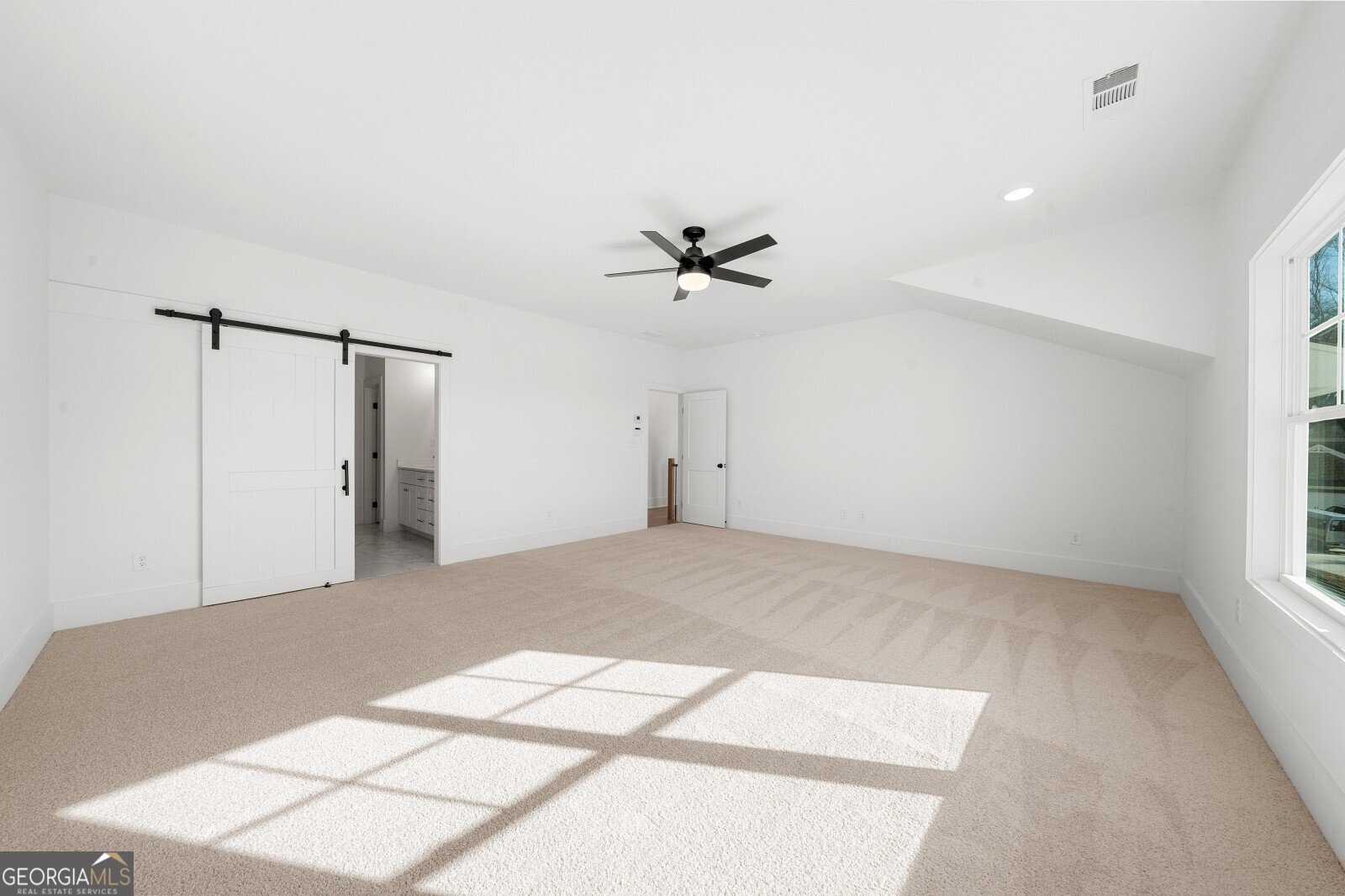 205 Carrington Point Canton - 36