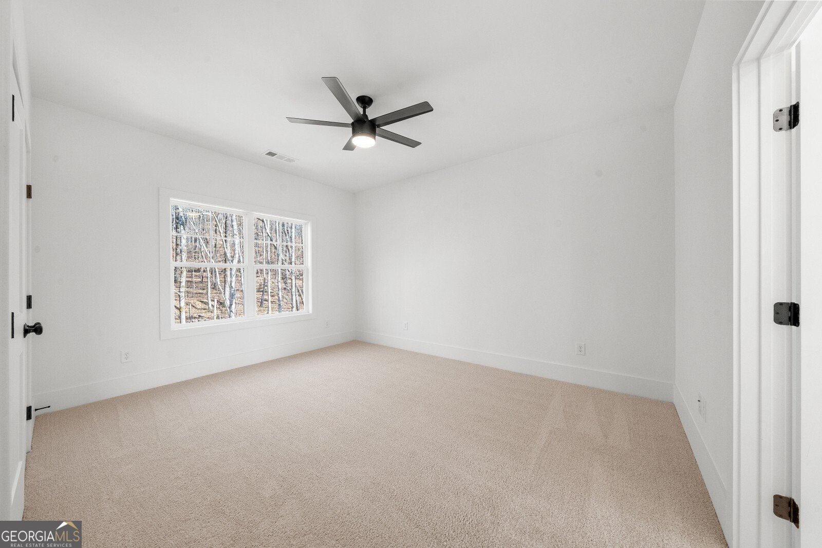 205 Carrington Point Canton - 45