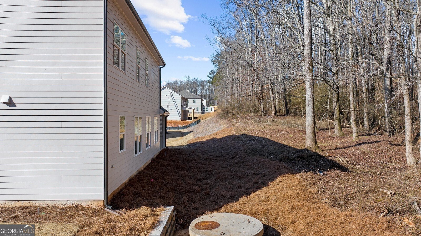 205 Carrington Point Canton - 63