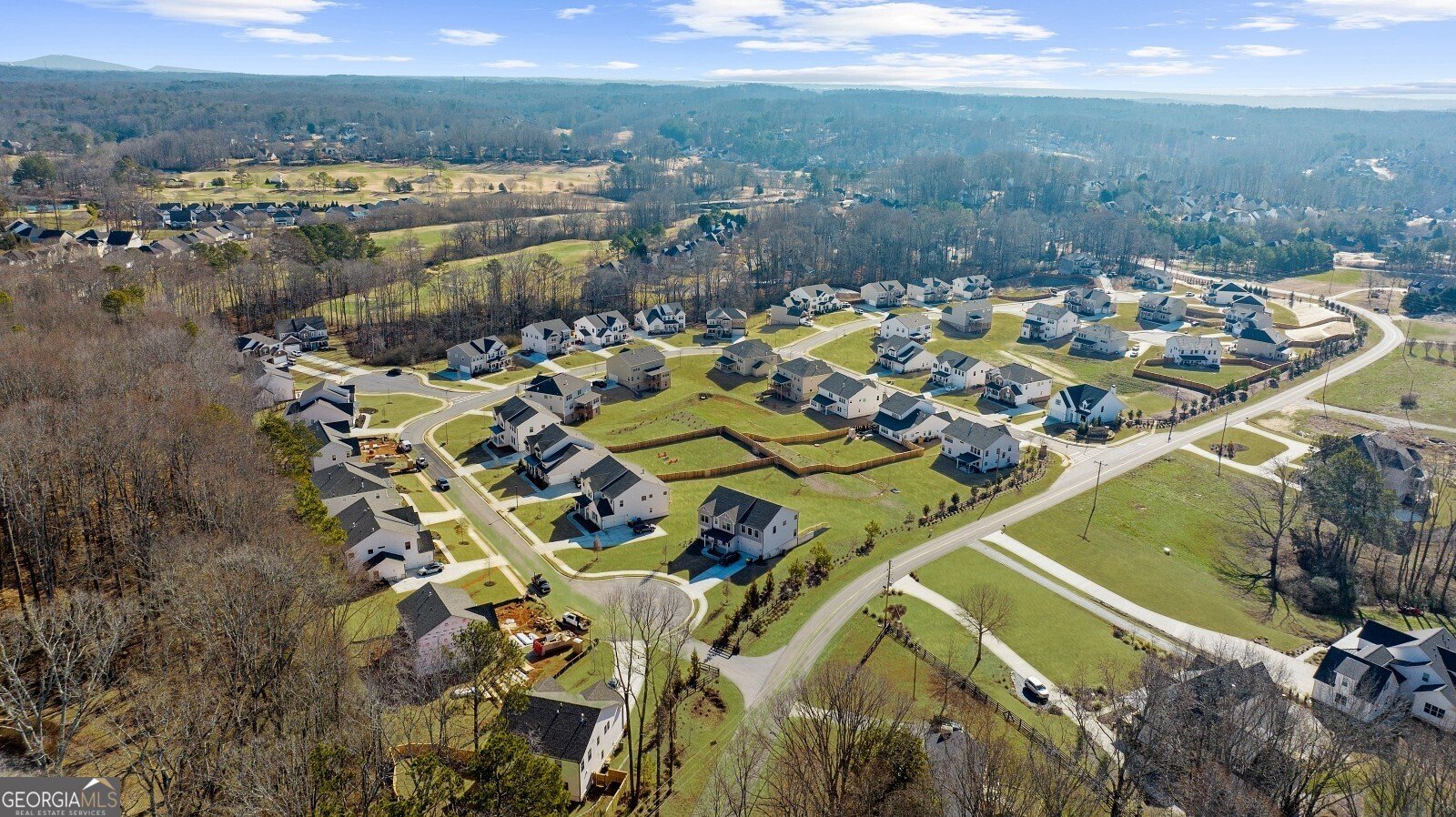 205 Carrington Point Canton - 69
