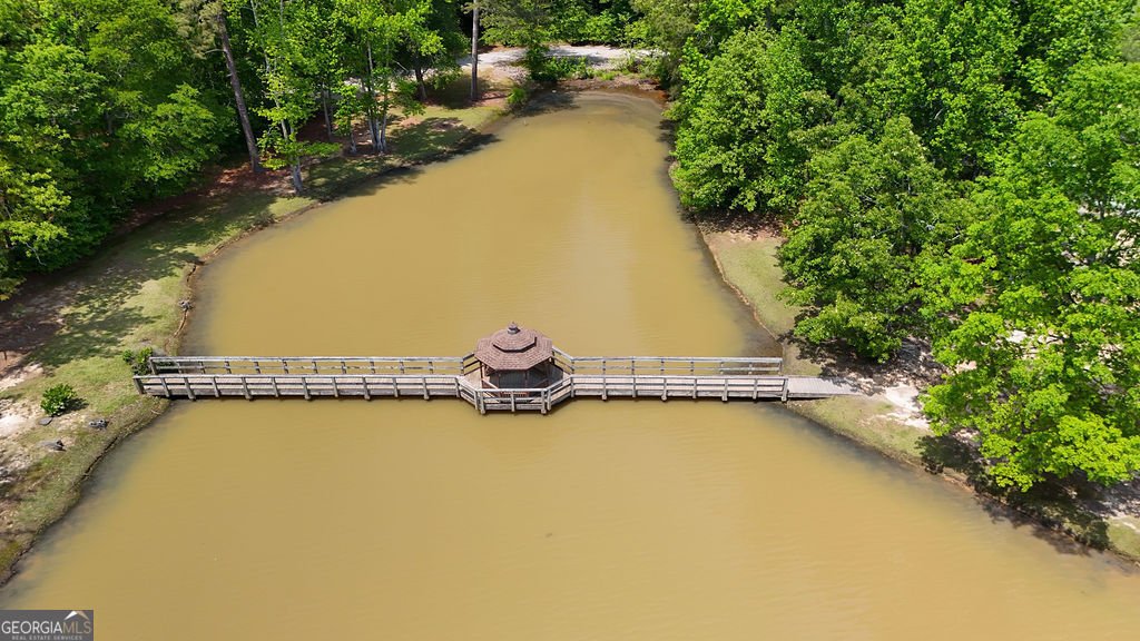 4810 Duncans Lake Drive Buford - 40