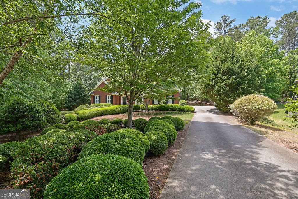 4810 Duncans Lake Drive Buford - 45