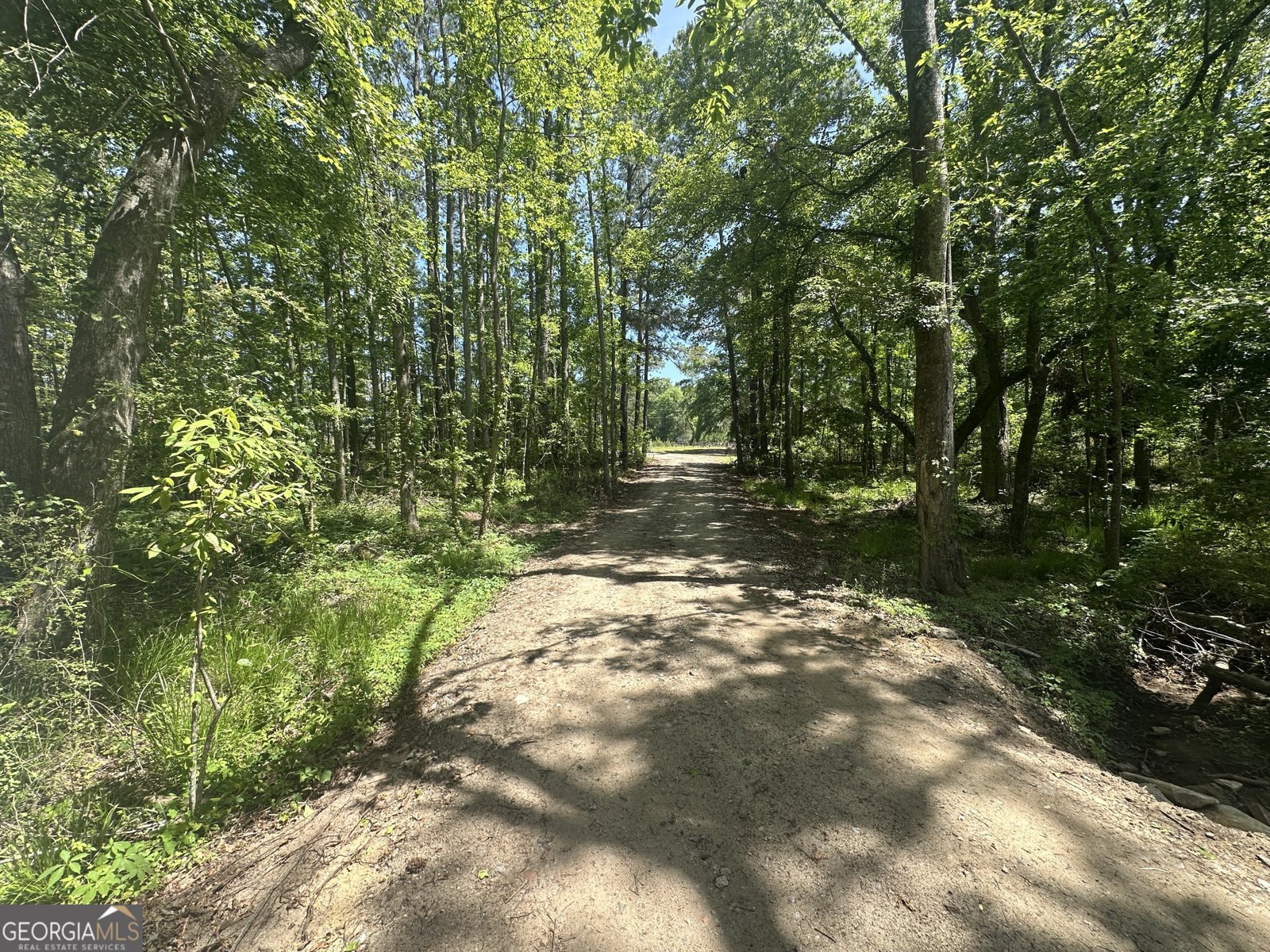 480 Best Bridge Road Sylvania - 30