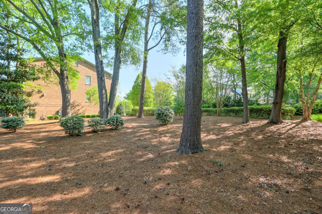 12084 Cotton Alley Alpharetta - 49
