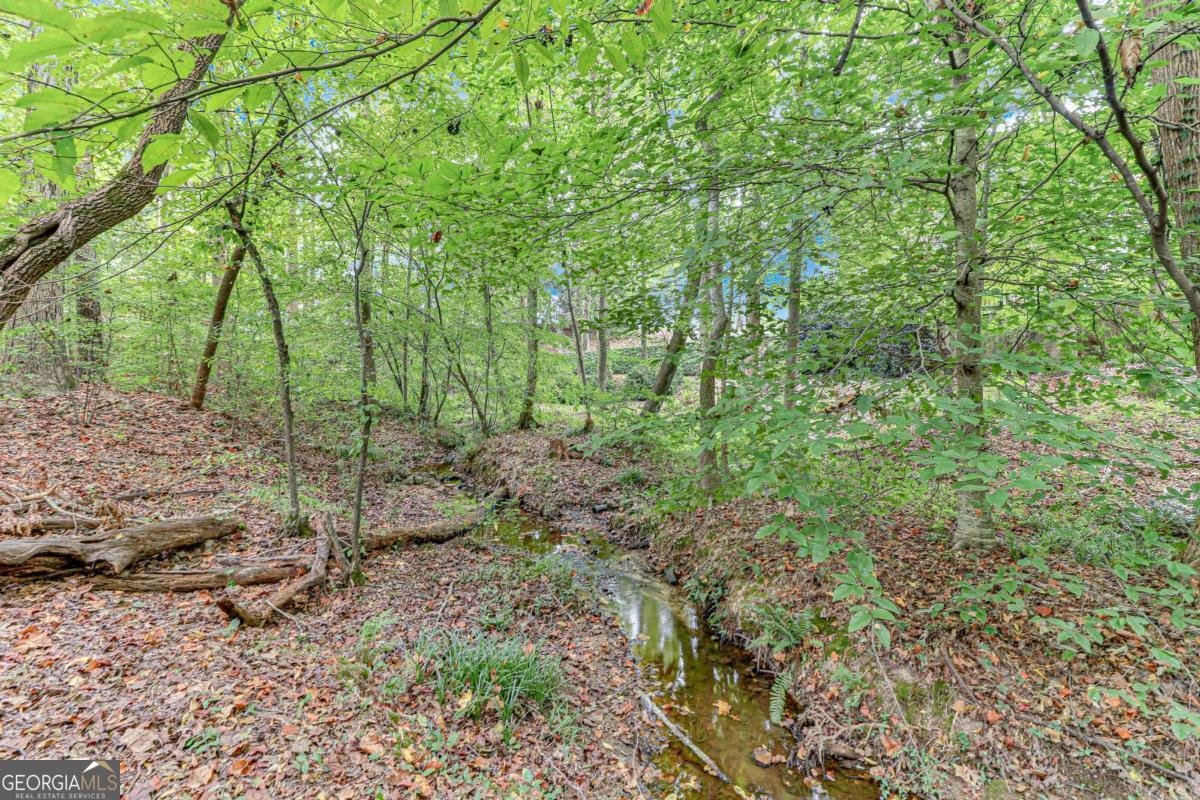 3238 Sharp Creek Lane Buford - 22