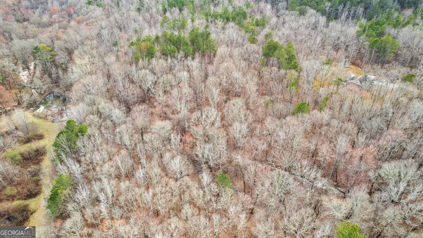 203 Shelby Lane Fayetteville - 20