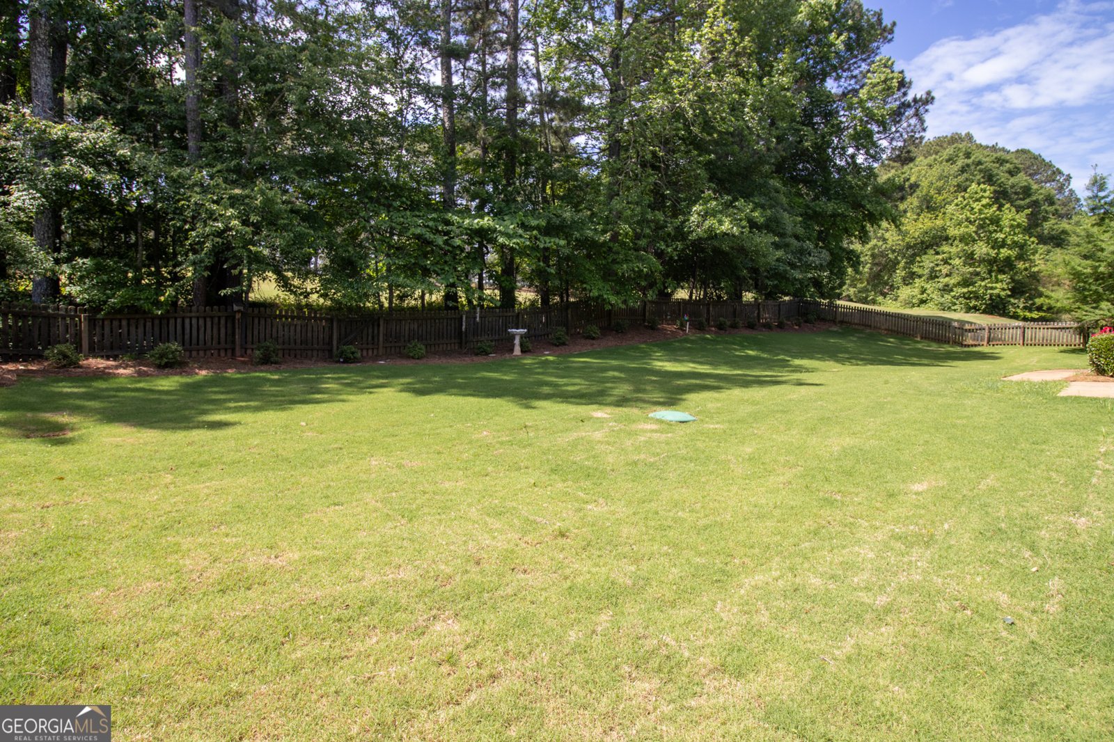 240 Huiet Drive McDonough - 4
