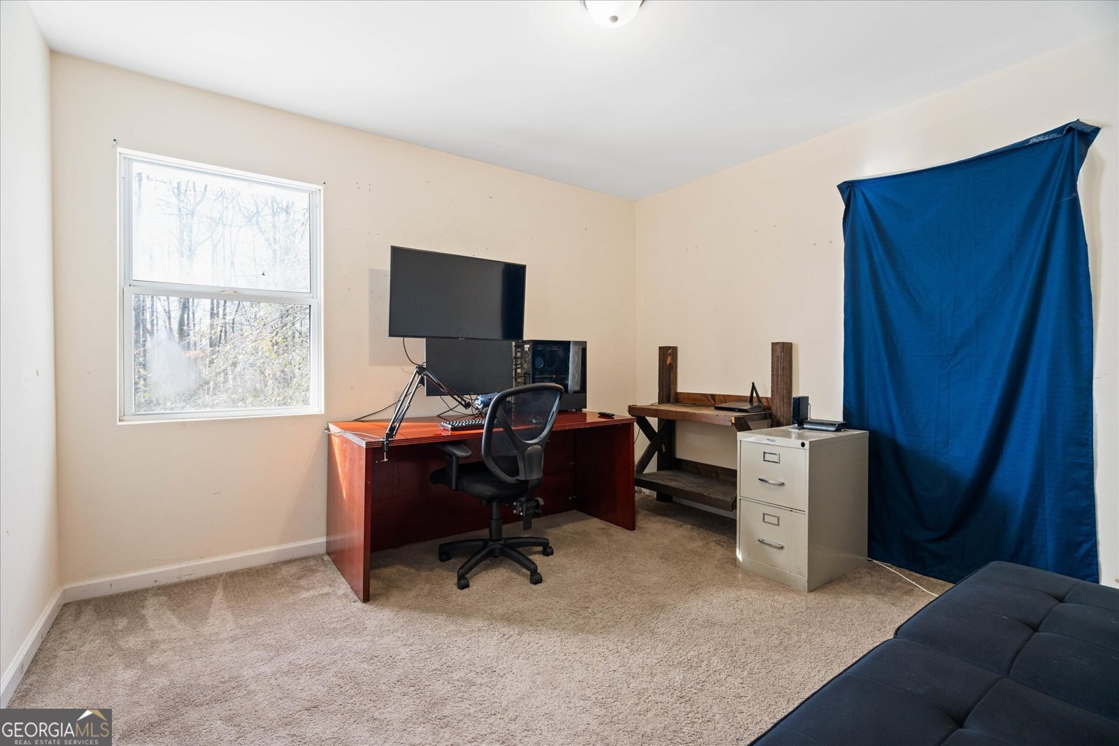 5552 Smithfield Road Bowdon - 22
