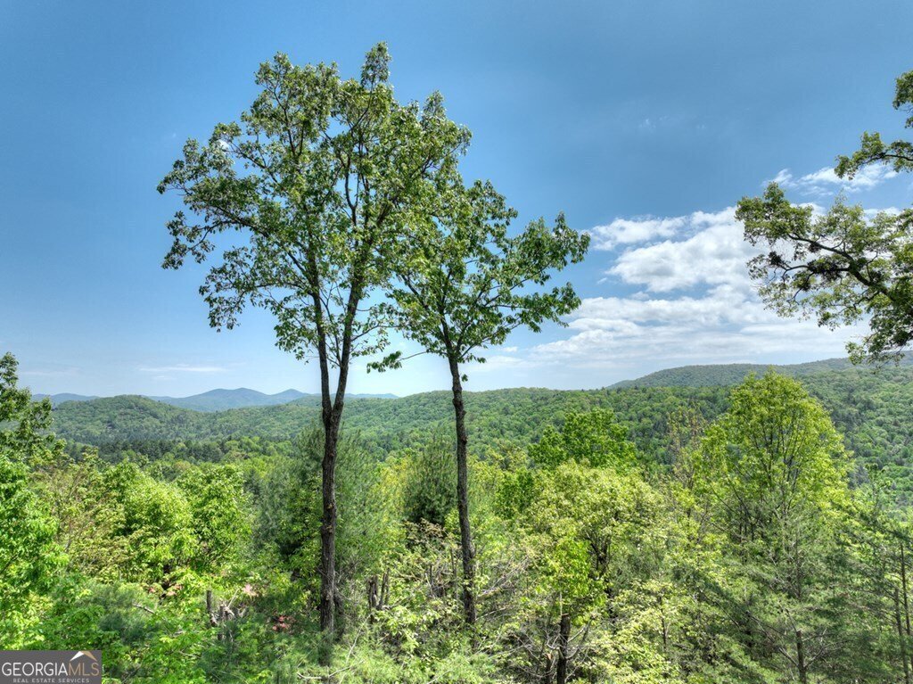 46 Cochise Road Blue Ridge - 54