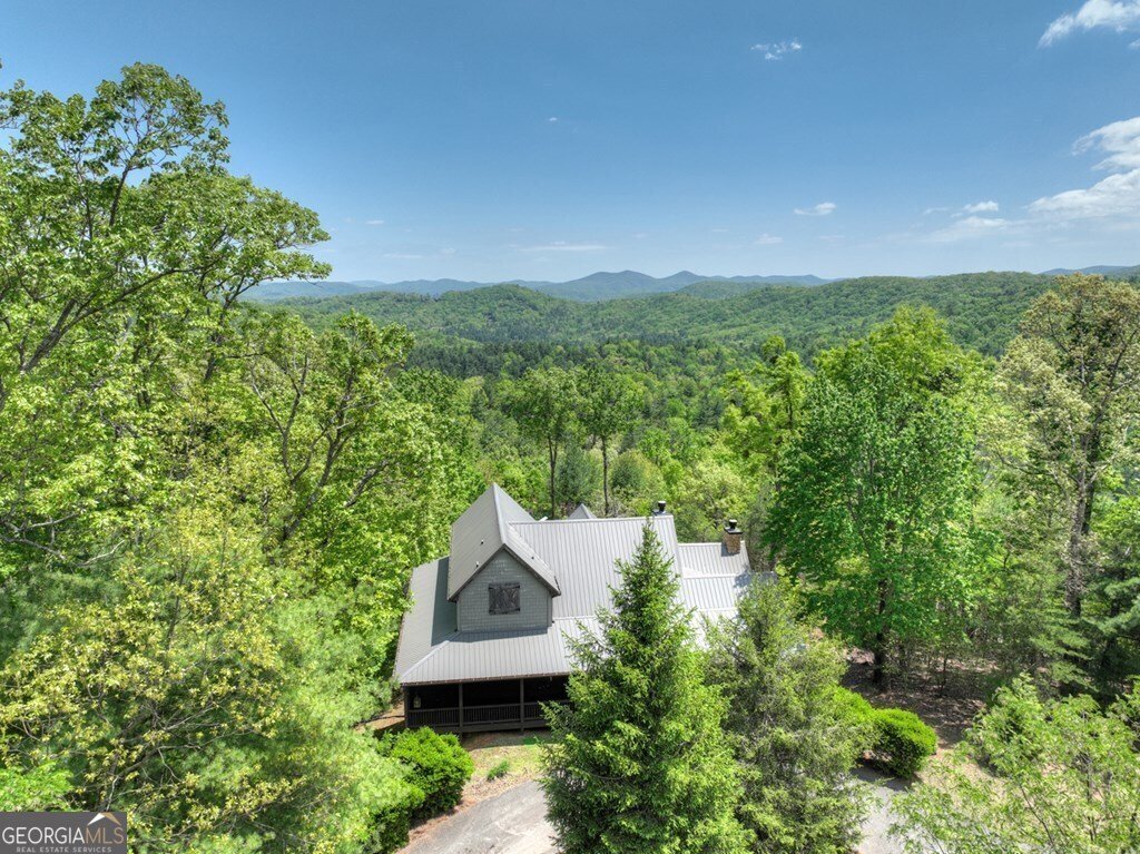 46 Cochise Road Blue Ridge - 58