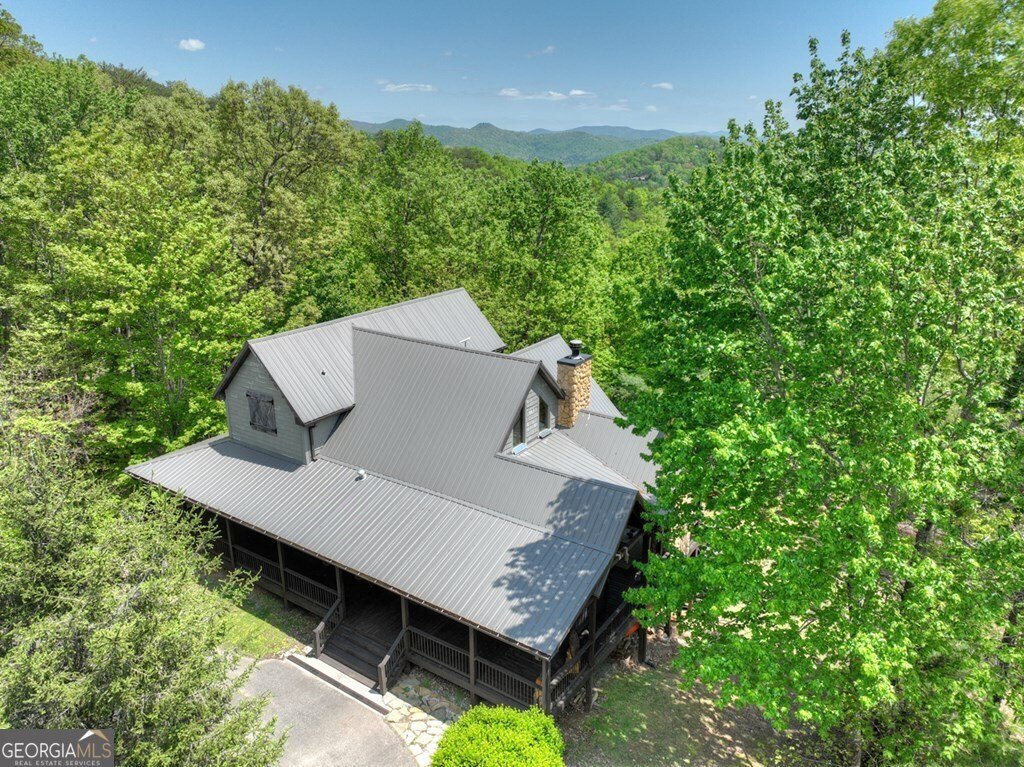 46 Cochise Road Blue Ridge - 61