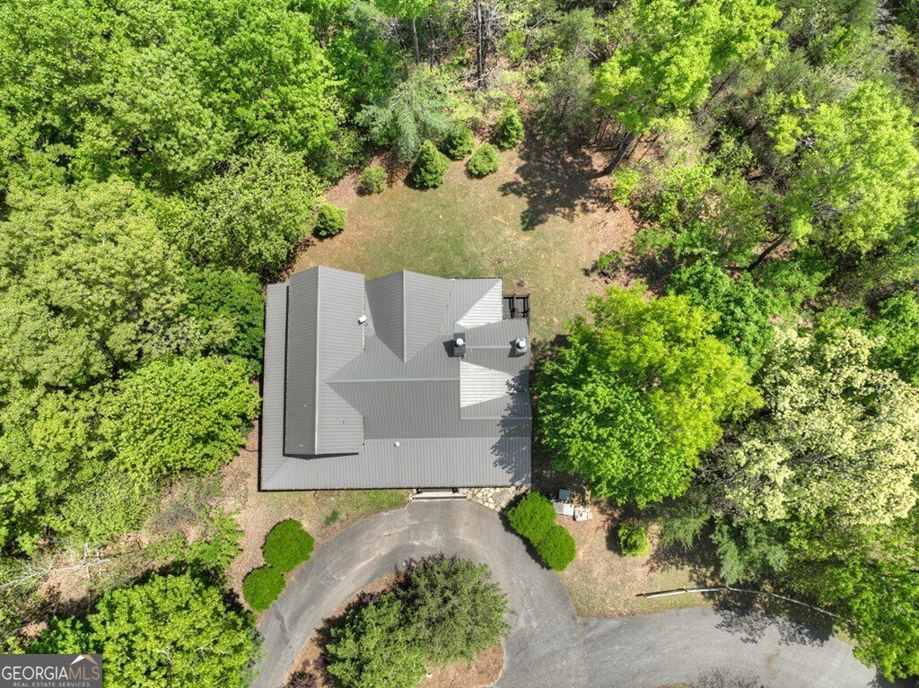 46 Cochise Road Blue Ridge - 63