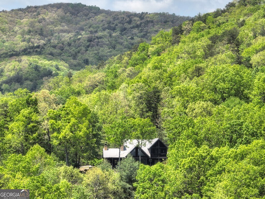 46 Cochise Road Blue Ridge - 64