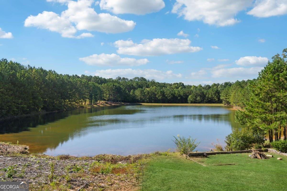 9 Westmoreland Lake Drive Buchanan - 33