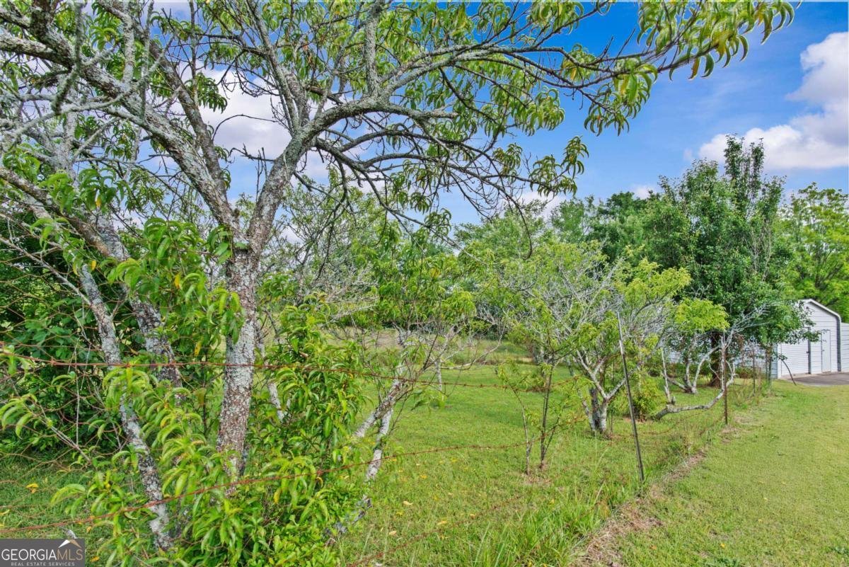 2128 Highway 172 Comer - 55