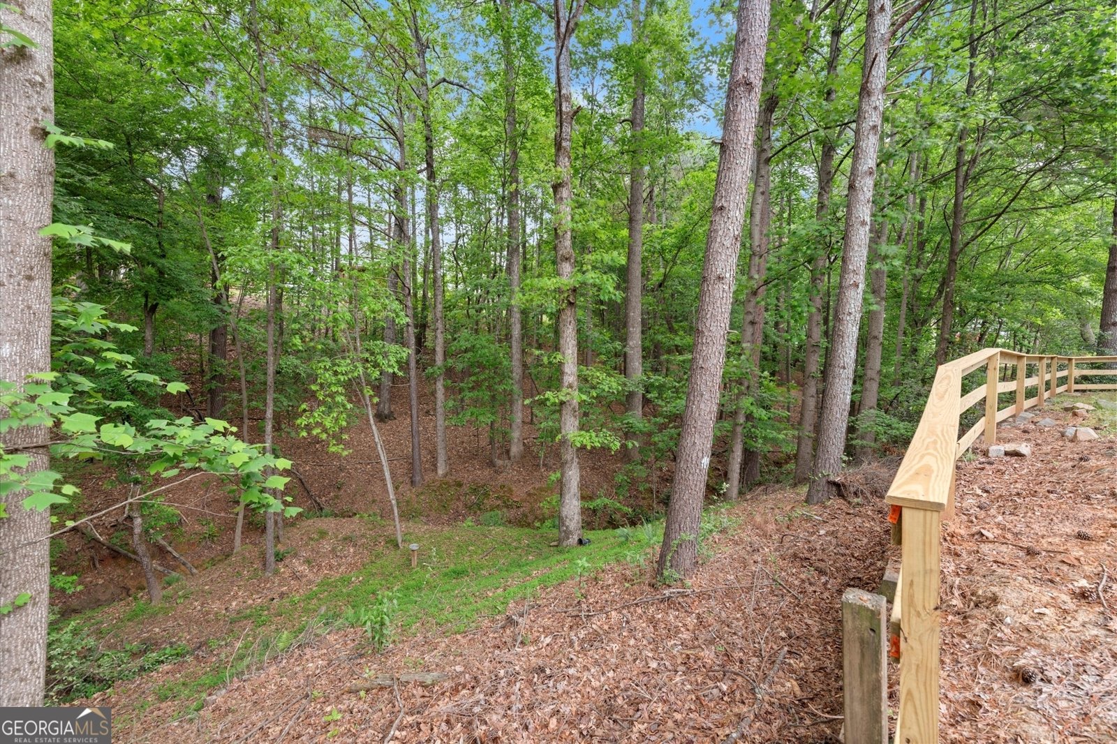 4294 Silver Peak Parkway Suwanee - 55
