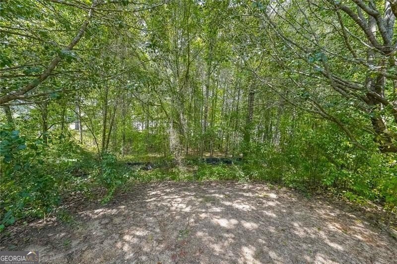 1528 Rogers Crossing Drive Lithonia - 35