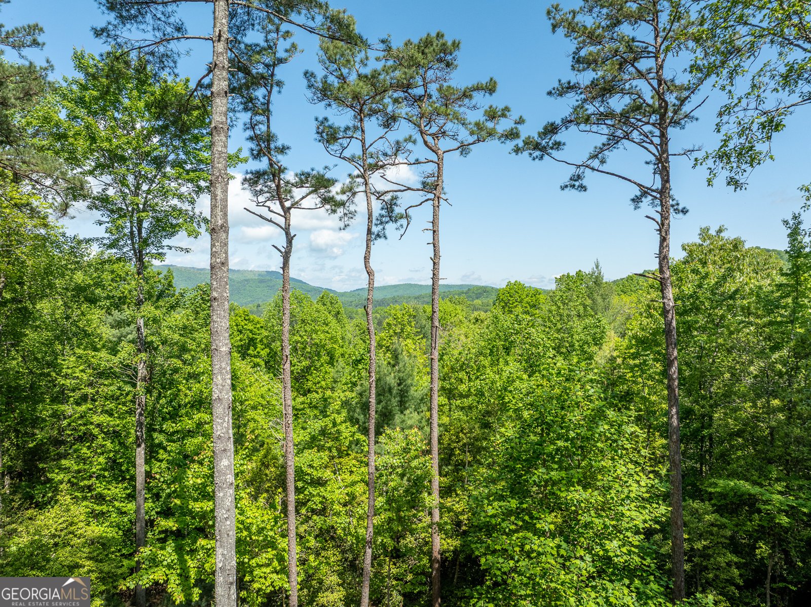 454 Old Aska Road Blue Ridge - 58