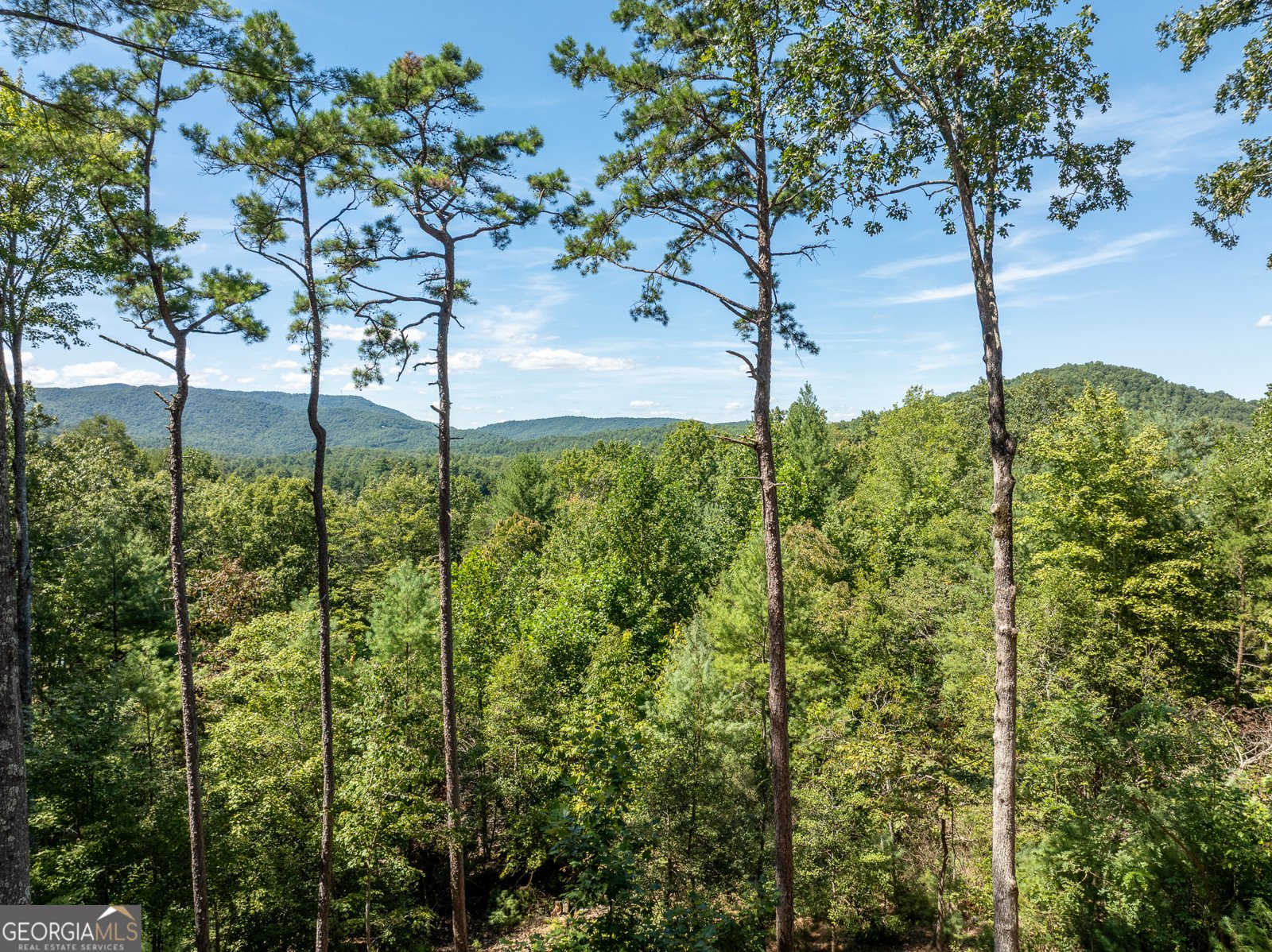 454 Old Aska Road Blue Ridge - 65