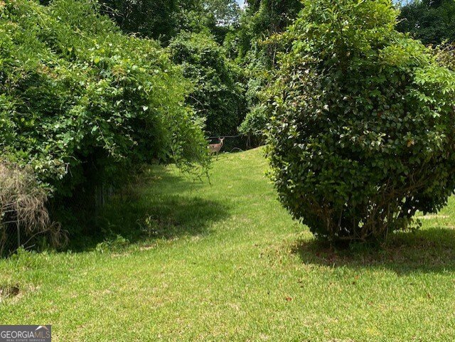1218 Nottingham Drive Macon - 42