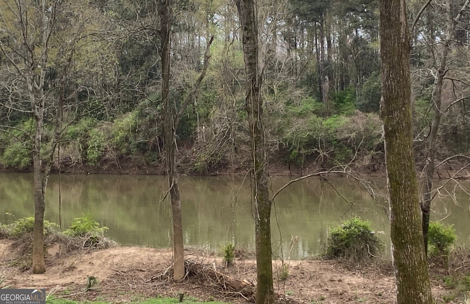 1218 Nottingham Drive Macon - 46