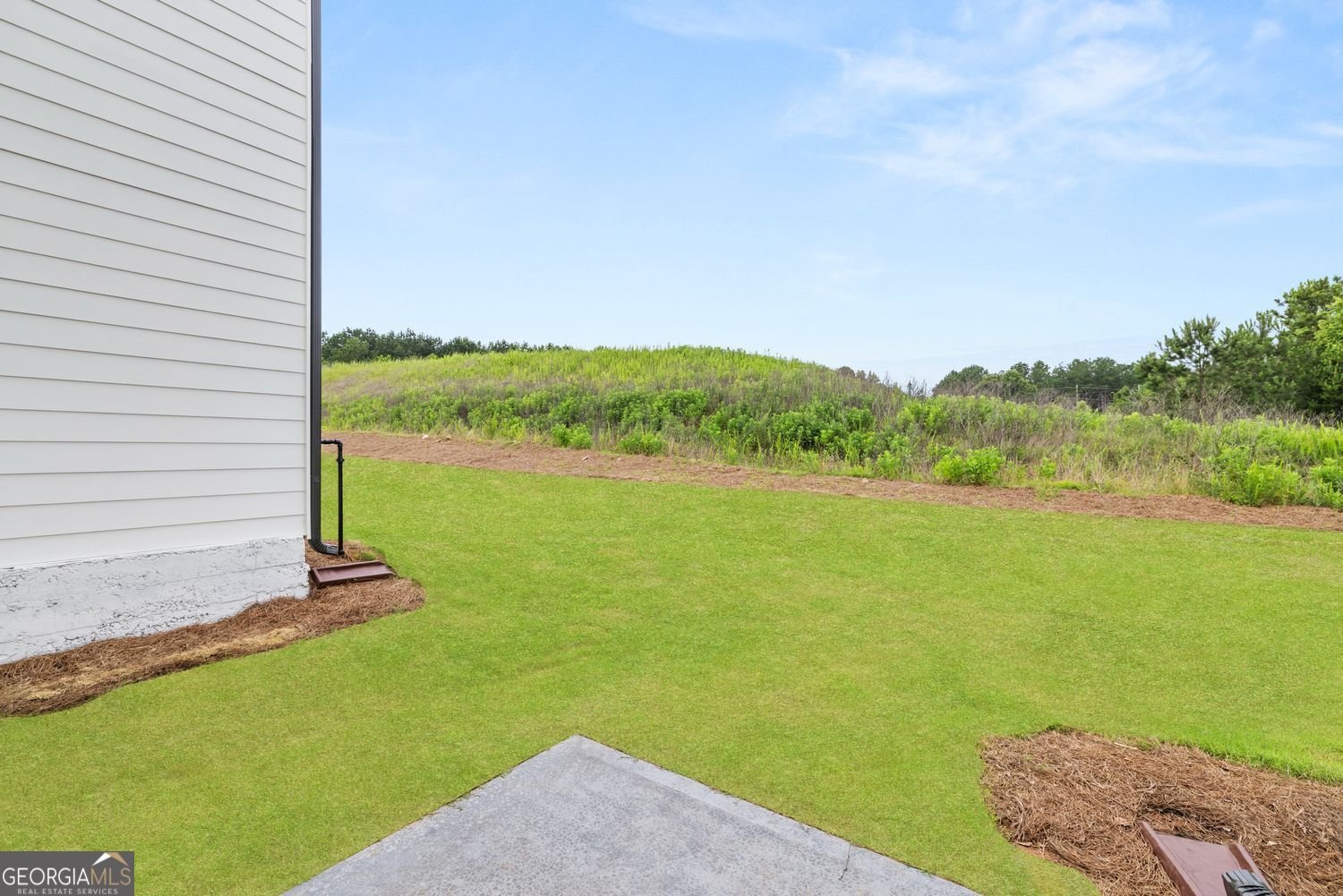 208 Sharon Lane Loganville - 32