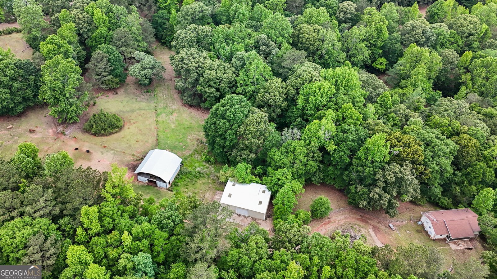 204 Lunsford Road Jackson - 11