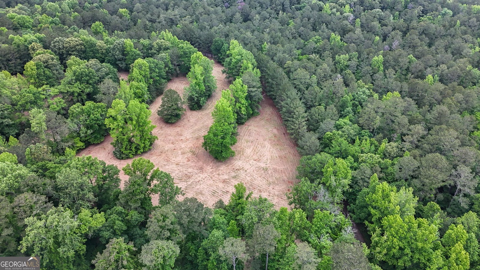204 Lunsford Road Jackson - 13