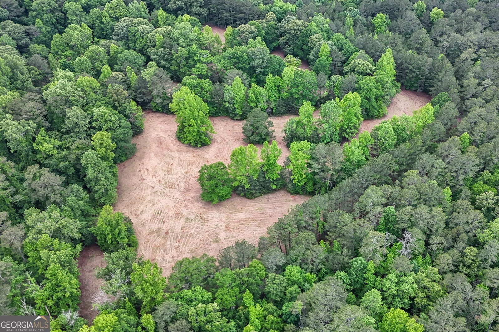 204 Lunsford Road Jackson - 14
