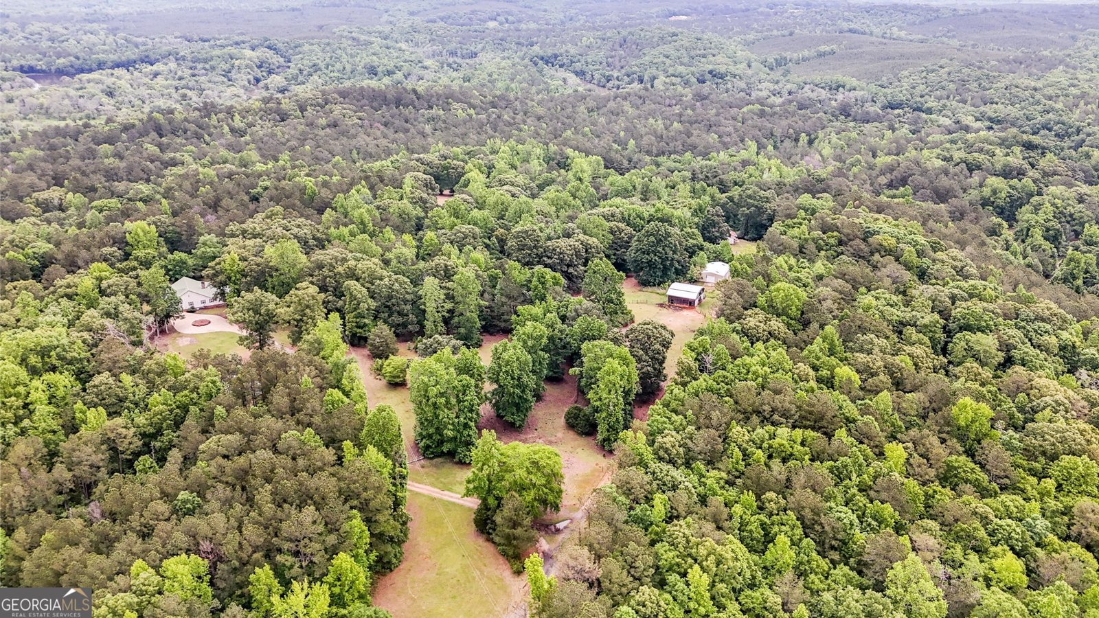 204 Lunsford Road Jackson - 6