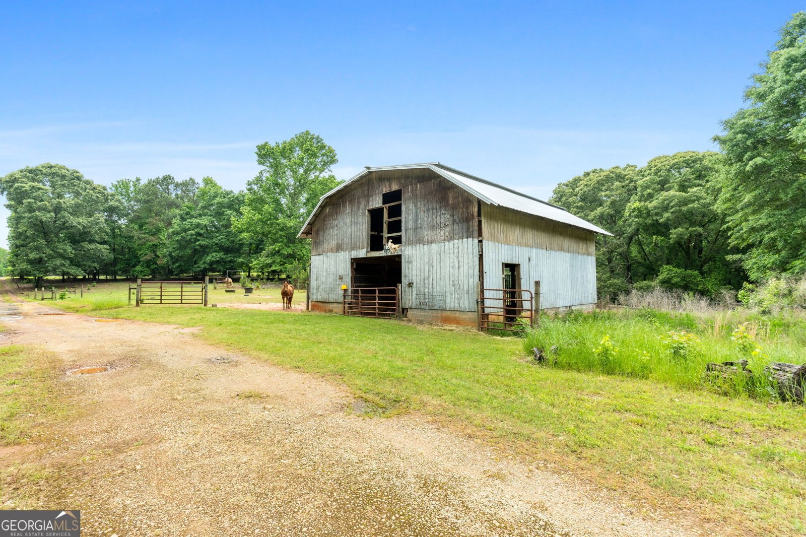 204 Lunsford Road Jackson - 61