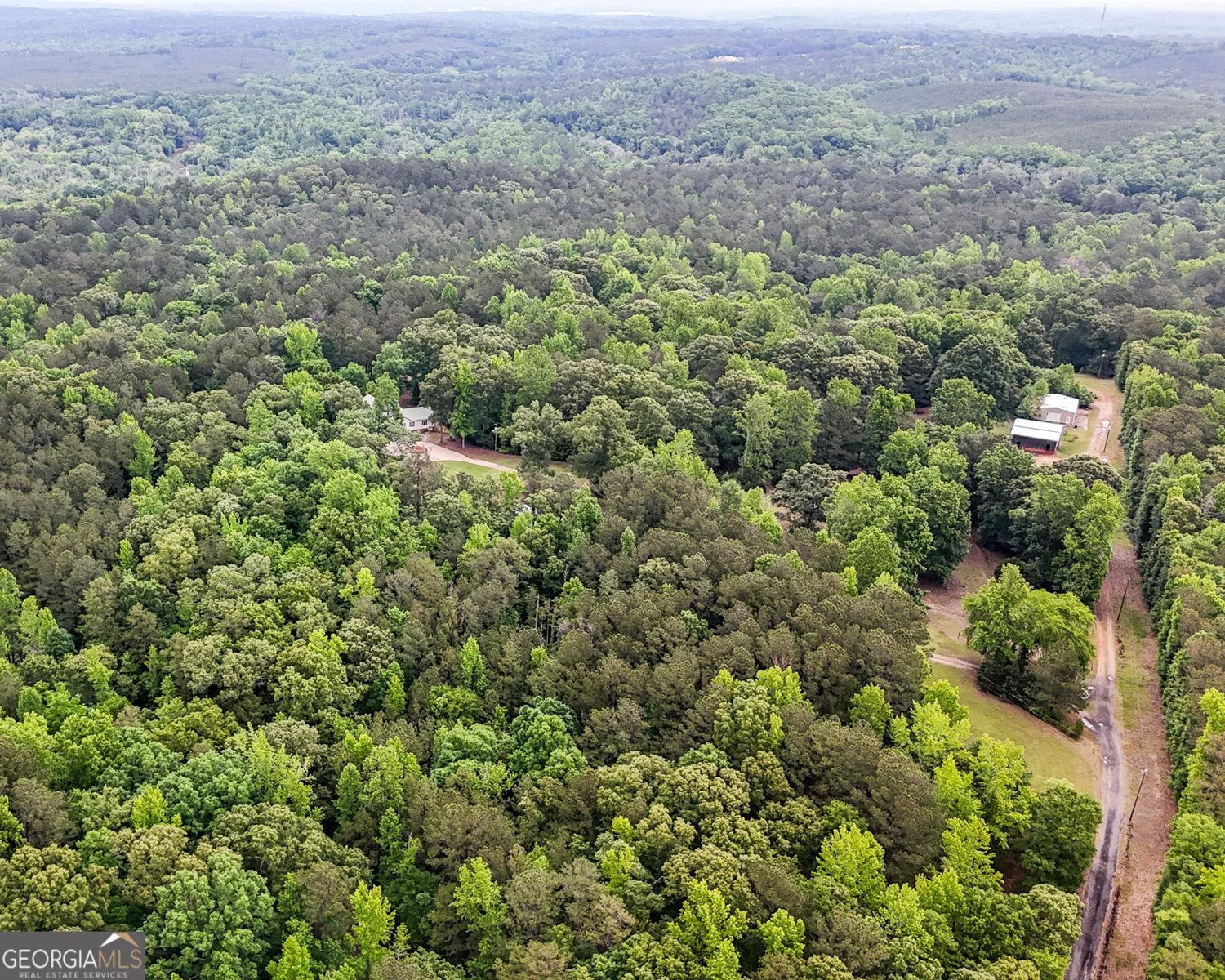 204 Lunsford Road Jackson - 7