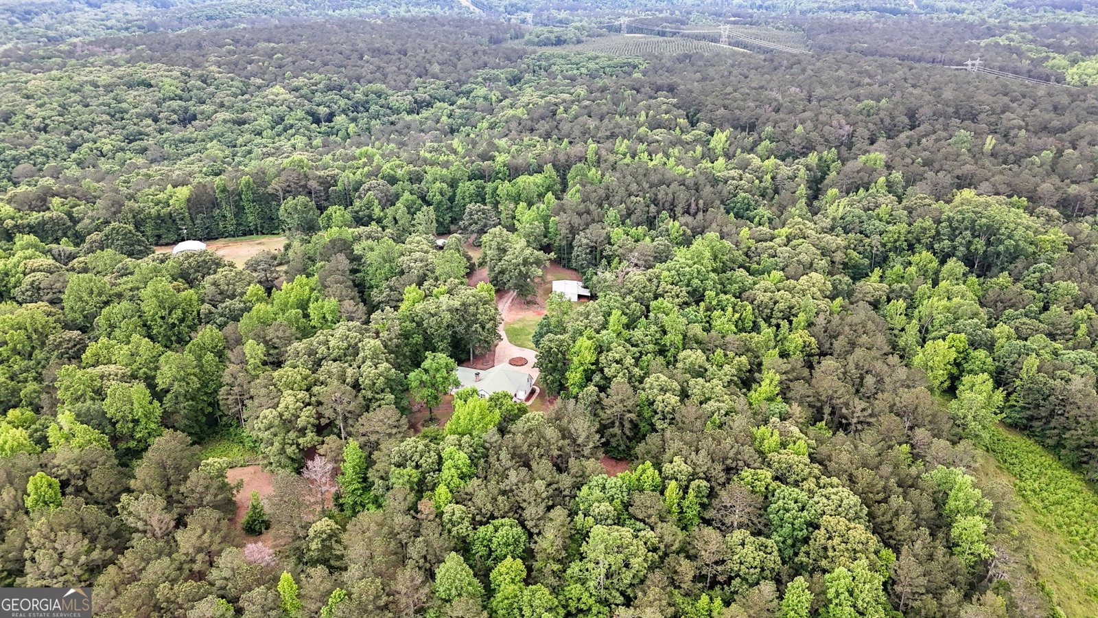 204 Lunsford Road Jackson - 8