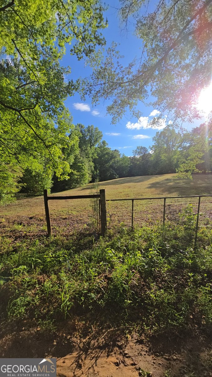 204 Lunsford Road Jackson - 83